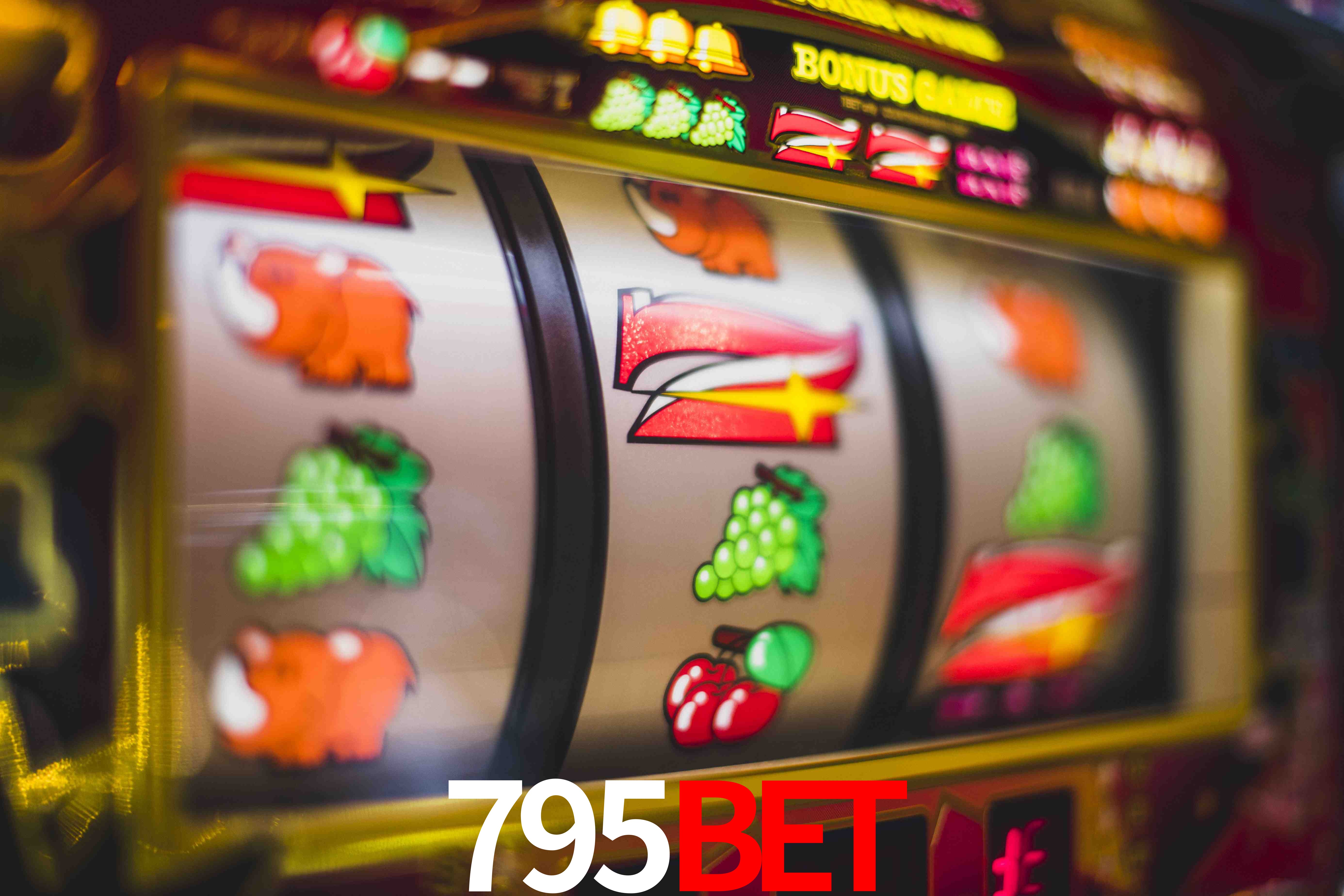 VIP Casino 795bet